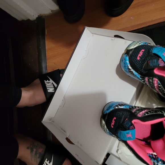 Labrons - Picture 2 of 4